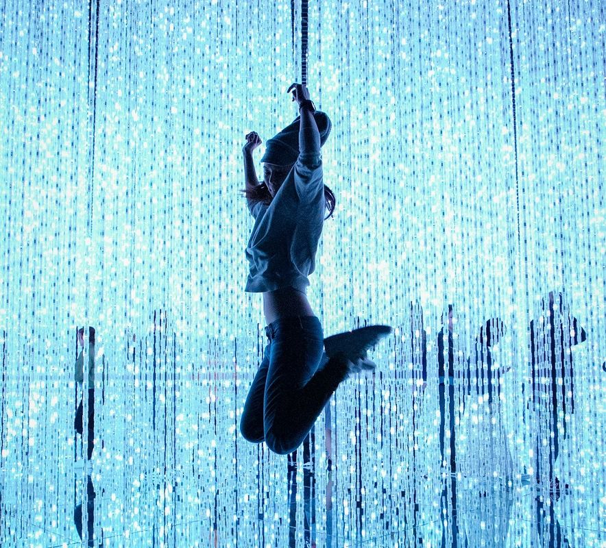 Япония: Токио, музей TeamLab